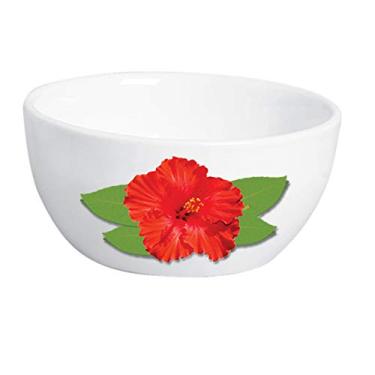 Imagem de Bowl P Ibisco