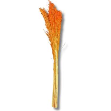Imagem de Buquê Flor De Vassoura Cores Natural Arranjo Decoração Festa - Inspira