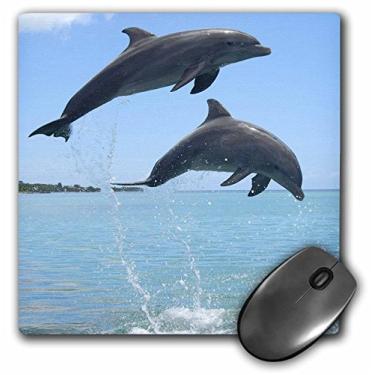 Imagem de 3dRose LLC Mouse pad 20,3 x 20,3 x 0,63 cm, Atlantic Bottlenose Dolphin Roatan Honduras Franklin Viola (mp_86555_1)