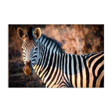 Imagem de SDYJ6GSW Imagens de animais em preto e branco para decoração de parede Zebra ao sol imagem natural africana impressão de imagem de cavalo pintura de parede zebra decoração de parede para sala de estar