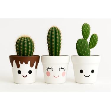 Imagem de Trio de Vasos de Barro Pintados à Mão – 10x8cm – Design Divertido e Decorativo – Ideal para Cactos e Suculentas (Sem Plantas)