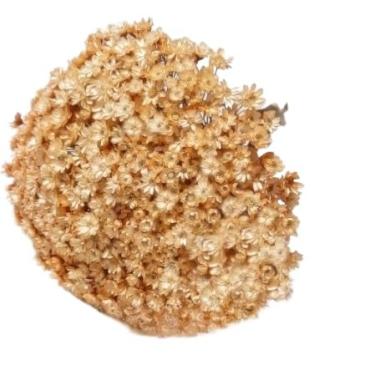 Imagem de 300 Florzinhas Sempre vivas arranjo buquê casamento chá decoração mesa Flor seca preservada(CHAMPANHE)