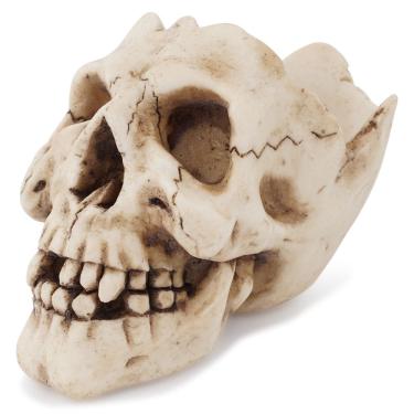 Imagem de Cinzeiro: resina realista com design de caveira 9,5x6,5x7cm 250g