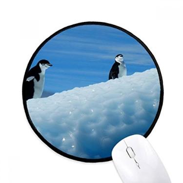 Imagem de Dois pinguins antárticos ciência natureza imagem mouse pad desktop escritório tapete redondo para computador