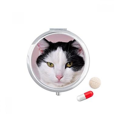 Imagem de Estojo de comprimidos para gatos e animais de estimação, porta-comprimidos, caixa de armazenamento de medicamentos