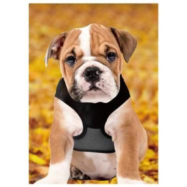 Imagem de Guia Coleira de Malha Flexível com Colete Peitoral Ajustável para Cão 