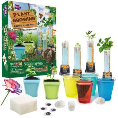 Imagem de Kit de cultivo de plantas Wellegance Twigs STEM Kids 8-12 anos