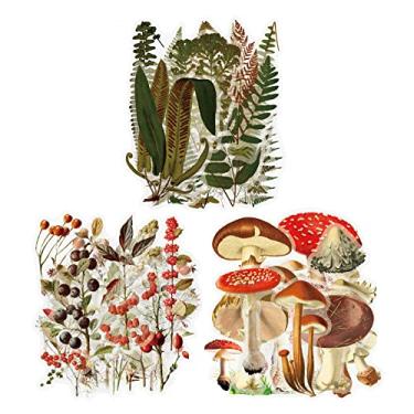 Imagem de 120 adesivos de registro de plantas, impermeável, transparente, vintage, samambaia, cogumelo, flor, natureza, scrapbook, scrapbook para cartões de artesanato DIY, garrafa de água, capa de telefone