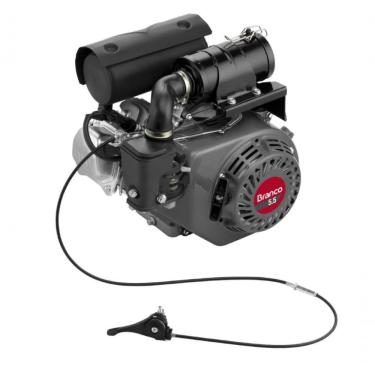 Imagem de Motor Gasolina 4T 5,5Cv 163Cc Partida Manual Para Compactado