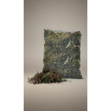 Imagem de Musgo Esfagno Natural - 2 Litros - Substrato - Congratulations Store