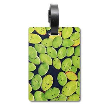 Imagem de Folha fresca planta água natureza bolsa etiqueta bagagem cartão de bagagem etiqueta pendurado etiqueta, Multicolorido.