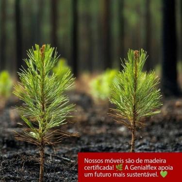 Imagem de Guarda Roupa Closet Genialflex Modulado