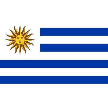 Imagem de Bandeira Países País Diversos 1,50x0,90mt - Envio Imediato! - Uruguai 