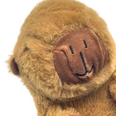 Imagem de Capivara De Pelúcia 20cm, CKS Toys, Bichinho Super Macio Antialérgico,