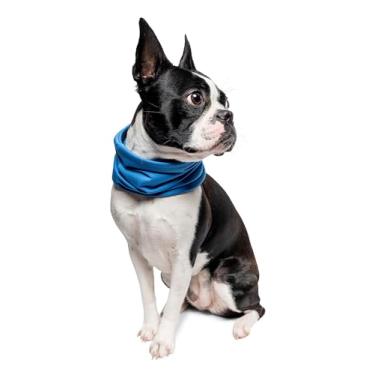 Imagem de Insect Shield Polaina de resfriamento respirável para animais de estimação com proteção integrada contra insetos e carrapatos, lago, médio