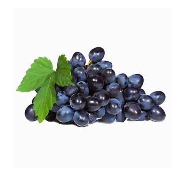 Imagem de Muda Frutífera de Uva Isabel Enxertada - AgroJardim
