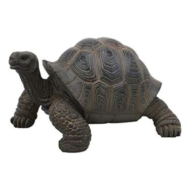 Imagem de Ebros Gift Estátua realista de tartaruga de Galápagos 16,5 cm de largura réplica de taxidermia Feng Shui Talismã de estabilidade e fortuna tartaruga da sorte estatueta decorativa de tartarugas zen