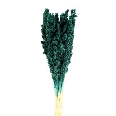 Imagem de Sorgo Verde Desidratado p/ Decoração - Tem Flores