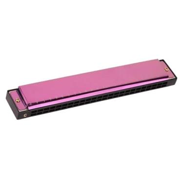 Imagem de Gaita profissional para iniciantes adultos 24 furos portátil polifônico C Harmonica Instrumento Musical (Roxo)