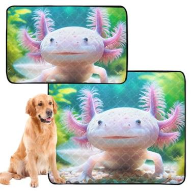 Imagem de Axolotl Tapete de urina lavável para animais fofos, à prova d'água, reutilizável, almofada de xixi, absorvente, médio + grande, conjunto de 2