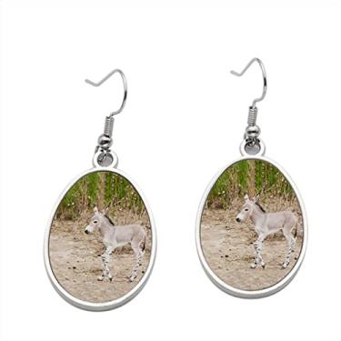 Imagem de Brinco somali Wild ass in Nature - Brincos pendurados para meninas - Presente de festa de aniversário dos namorados