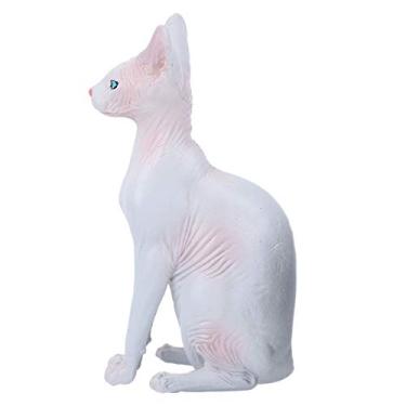 Imagem de Modelo de gato sem pelos, modelo de gato, delicado, altamente simulação, durabilidade, moderno para professores e colecionadores (PL127-1563)