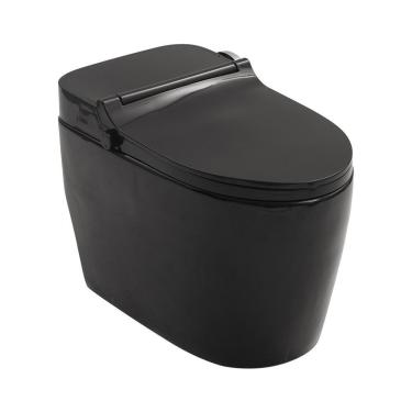 Imagem de Vaso Sanitário Monobloco Caixa Acoplada Privada Bidê Celestita Pingoo.casa - Preto