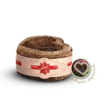 Imagem de Xaxim de palmeira formato de coracao