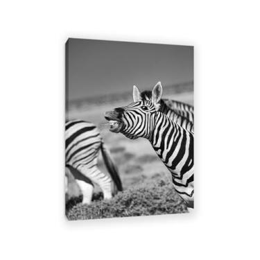 Imagem de SDYJ6GSW Imagens de animais em preto e branco para decoração de parede, imagens engraçadas de zebras na África, impressão de cavalo, pintura de arte de parede, zebra, decoração de parede para sala de