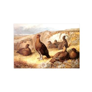 Imagem de Animais Pinturas Famosas Arte Parede-Fotos Lona para Sala de Estar-Um monte galo vermelho-Pôster e Imprimir Decoração 70x105cm27x41in Sem Moldura