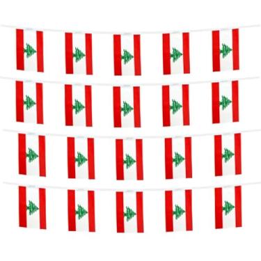Imagem de FFILL 20 pés 20 bandeiras bandeira do Líbano, bandeira pequena do Líbano, para festas, lojas e decorações de bares, e celebrações do dia internacional. Bandeiras temáticas de países asiáticos - 29