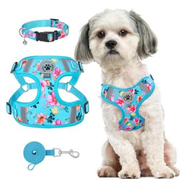 Imagem de BEAUTYZOO Peitoral para cães de tamanho pequeno, conjunto de coleira e trela para cães pequenos, colete refletivo de malha macia ajustável, acessórios para animais de estimação, azul P