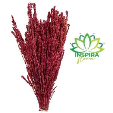 Imagem de Capim Verde-Amarelo - Inspira Flora, Vermelho