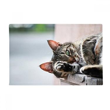 Imagem de DIYthinker Tapete antiderrapante para porta de banheiro com foto de gato para fotografia de animal
