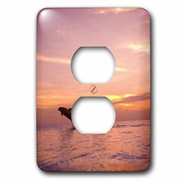 Imagem de 3dRose LLC lsp_86567_6 Bottlenose Dolphins, Roatan, Honduras Sa12 Swe0008 Stuart Westmorland 2 Tampa de tomada