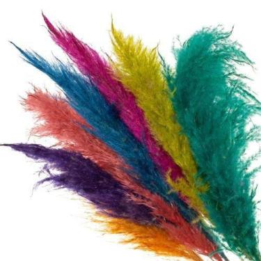 Imagem de Buque de Flores Secas Campim dos Pampas Colorido - Variado Presente Ar