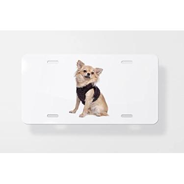 Imagem de Chihuahua 1 capa para placa de carro – capa para placa de carro – capa para moldura de placa de carro 15 x 30 cm