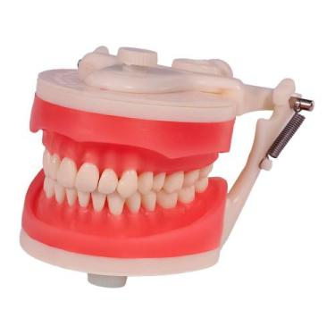 Imagem de Manequim Acadêmico Articulado Dentística PD 100 Pronew