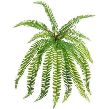 Imagem de Planta Buque Samambaia 75cm Longa Verde Folhagem Muro Inglês - La Caza