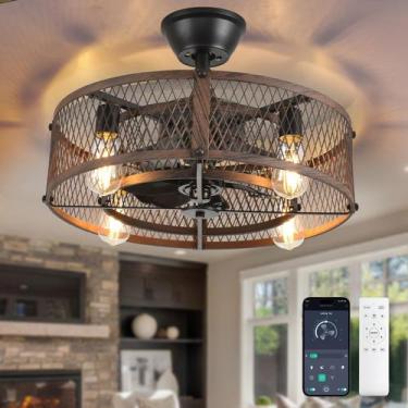 Imagem de Ventilador de teto Depuley 20" Caged Light Remote App Control