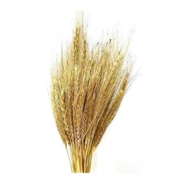 Imagem de Buque Trigo Dourado Desidratado Casamento Decoração Arranjo - FLORA FU