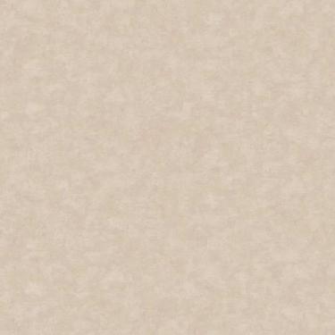 Imagem de Papel De Parede Nature Cimento Queimado Cinza Tonu8009