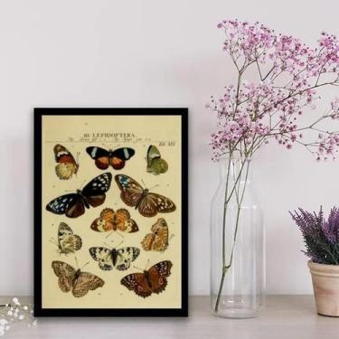 Imagem de Quadro Decorativo Espécie De Borboletas 24X18Cm - Com Vidro - Quadros 