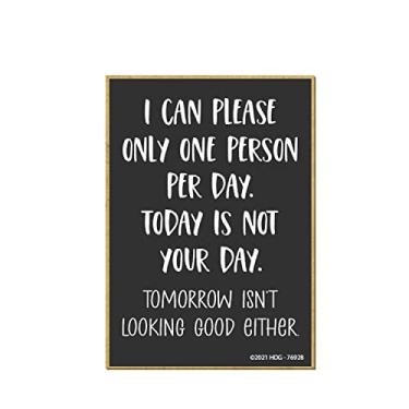 Imagem de Honey Dew Gifts, I Can Only Please One Person per Day Today is Not Your Day, 6,5 cm x 8,9 cm, decorações de armário, ímãs de geladeira, ímãs de geladeira, ímãs decorativos, ímãs engraçados