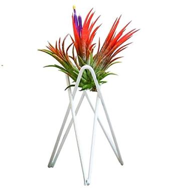 Imagem de Yajun Suporte de planta de ar de ferro de escritório suporte de vaso de flores interno ornamento de jardim de casa mini moderno prateleira de exibição de samambaia de ar de mesa 5 peças, branco, 10 * 6 cm