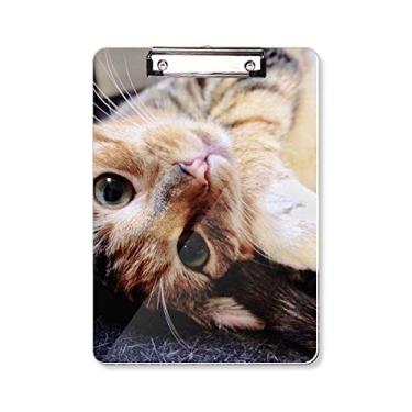 Imagem de Bloco de notas listrado gatinho relaxar animal adorável pasta, bloco de notas A4