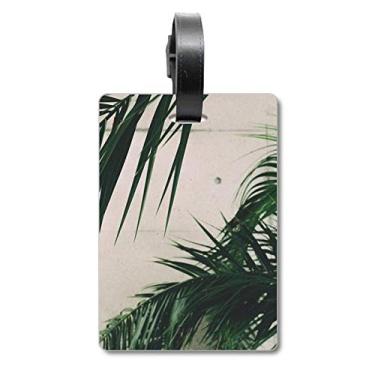 Imagem de Fotografia Folha Planta Imagem Natureza Mala Etiqueta Cartão de Bagagem Scutcheon Etiqueta