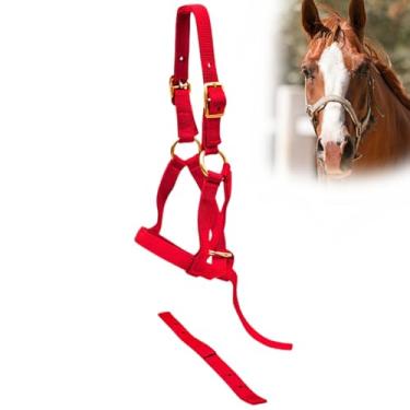 Imagem de Jeffers Cabresto de nylon para desmame equino para potros, pôneis, cavalos em miniatura – Correia ajustável de 2 camadas de 3/10.2 cm com ferragens banhadas em latão – Leve para treinamento, cuidados