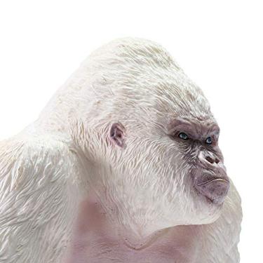 Macaco Albino 