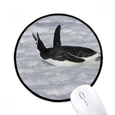 Imagem de Tapete de mouse preto com imagem de pinguim antártico para mesa de escritório tapete redondo para computador